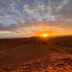 Marrakech To Fes Desert Tour 3 Days