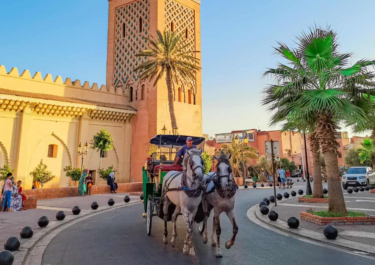Morocco Trail Ways Skoura Oasis
